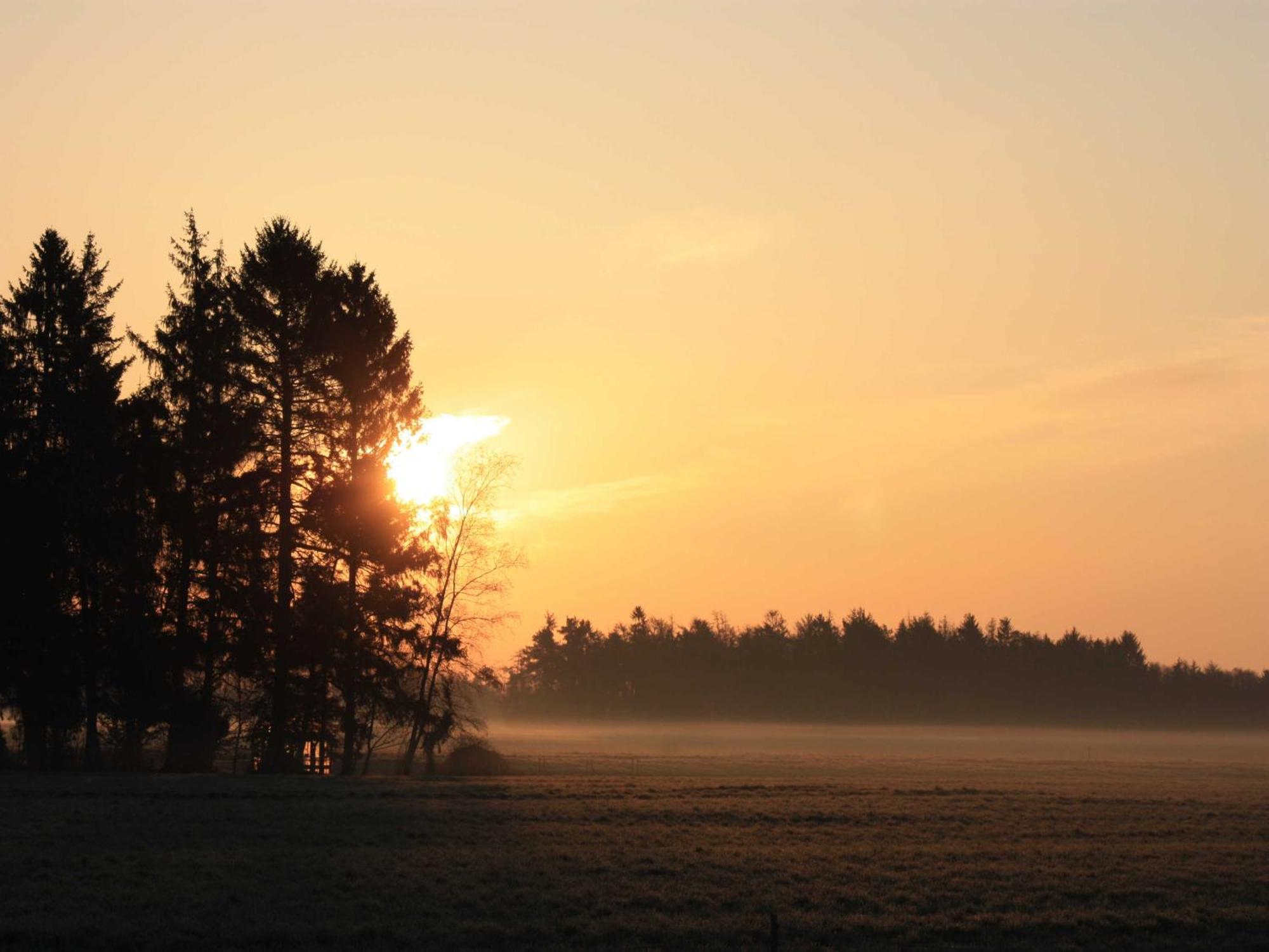 Herzfeldhof Worpswede Exteriör bild
