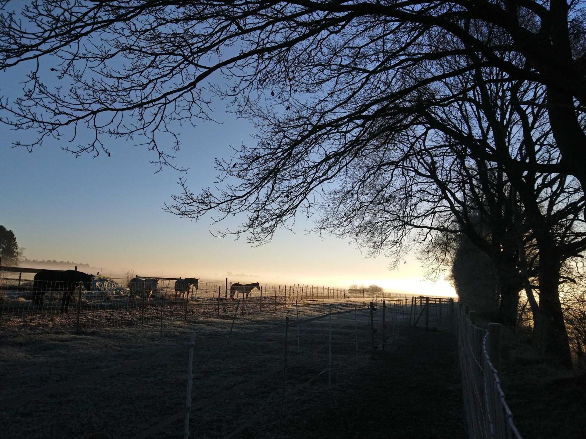 Herzfeldhof Worpswede Exteriör bild